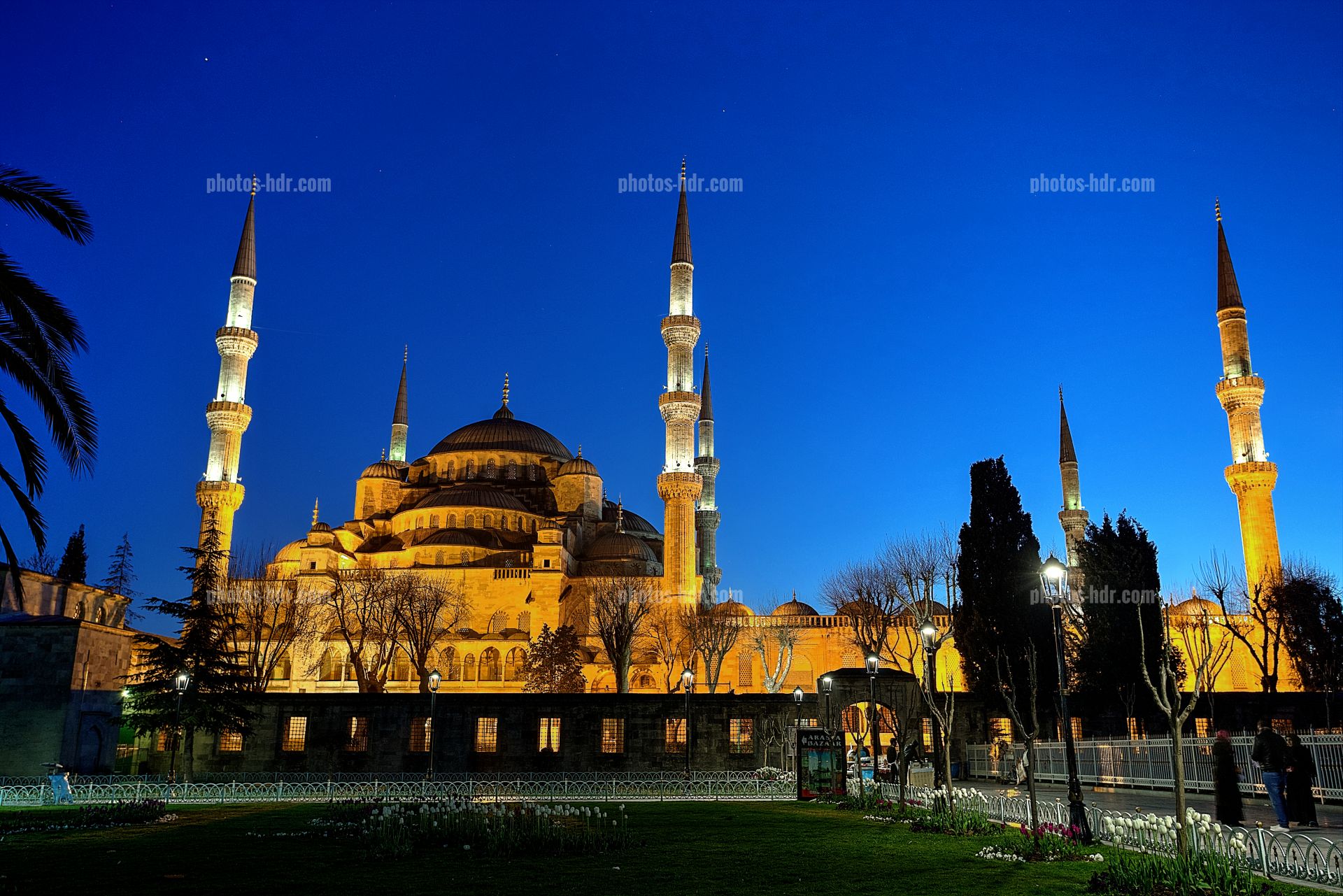 /MosquÃ©e bleue d'Istanbul de nuit
