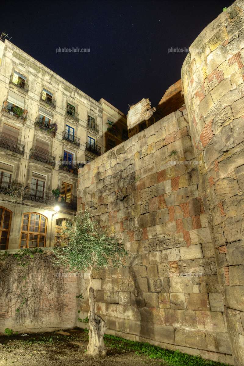 /Quartier Gothique de nuit Ã  Barcelone