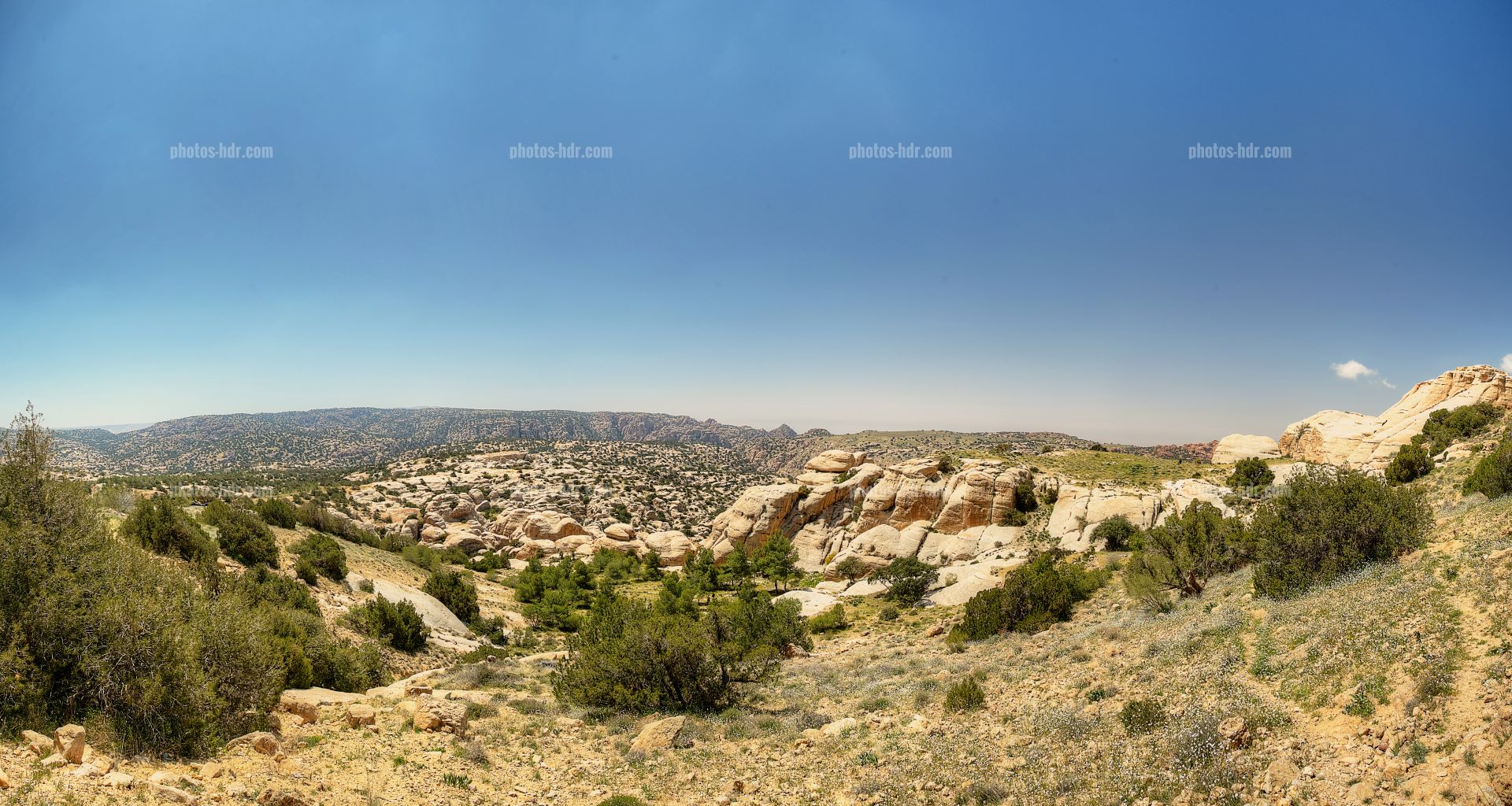 /Reserve naturelle Jordanienne