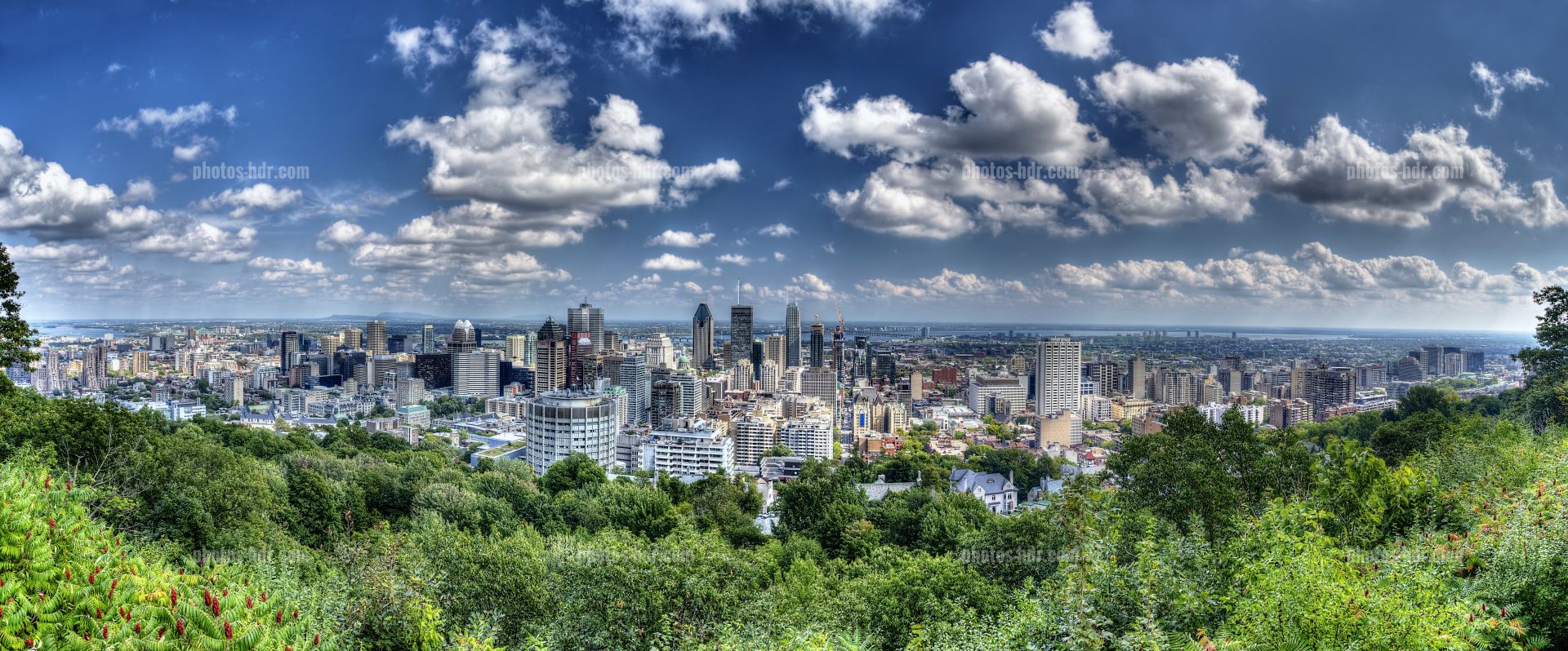 /Vue panoramique de Montreal